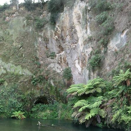 A1 Troutfishing At Tirau Βίλα Εξωτερικό φωτογραφία