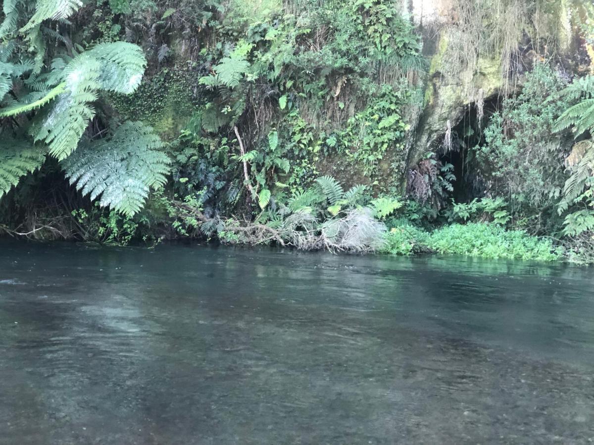 A1 Troutfishing At Tirau Βίλα Εξωτερικό φωτογραφία