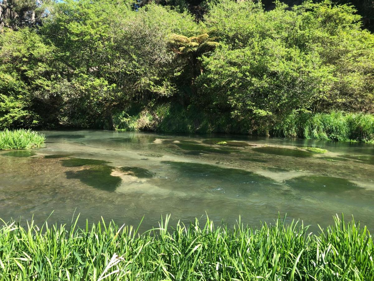 A1 Troutfishing At Tirau Βίλα Εξωτερικό φωτογραφία